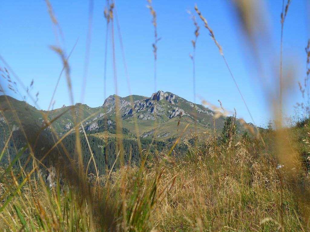 Iubirea de natura