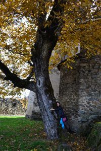 DSC_0556 The love of nature The love of nature DSC 0556 200x300