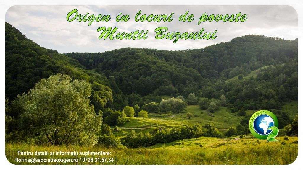Oxygen in Buzau Mountains
