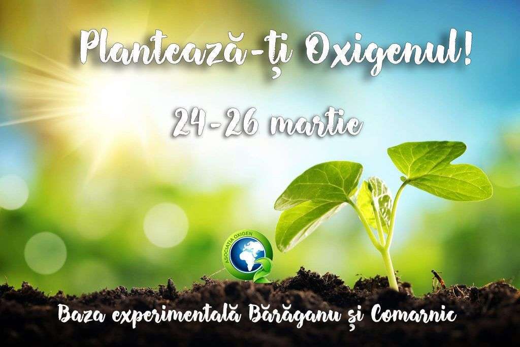 „Plantează-ți Oxigenul” 2017 – 2 acțiuni de plantare, 3 zile consecutive.