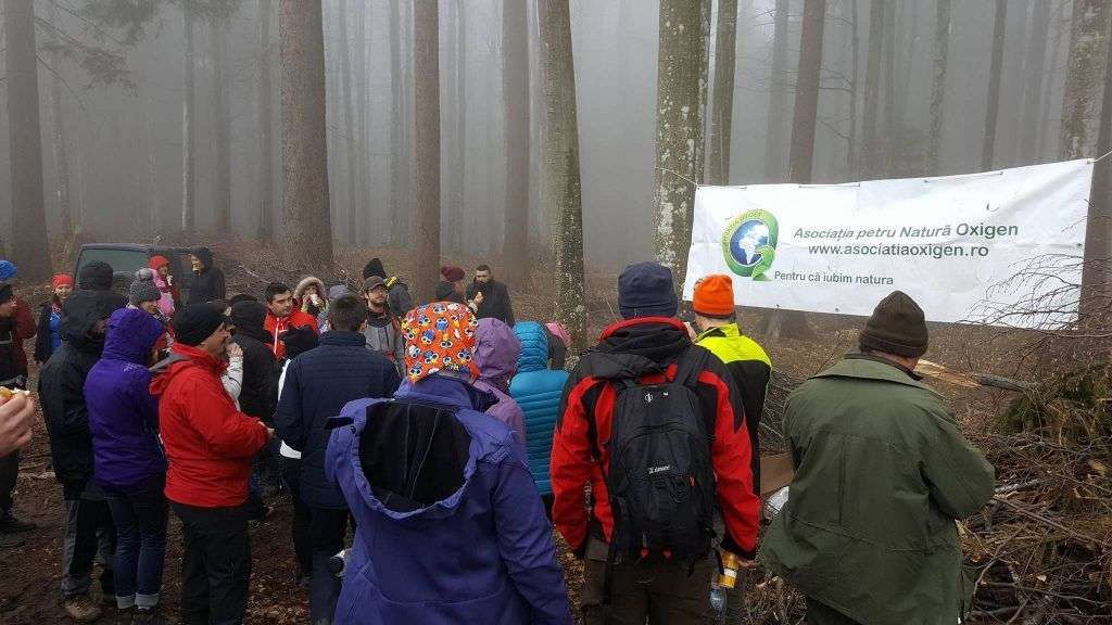 Natura sudează legături de camaraderie