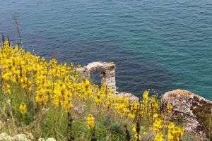 Balchik și Kaliakra – o fortăreață care ascunde o comoară nedescoperită, un castel și o gradină multicoloră, o cramă și o mare, toate într-o zi.