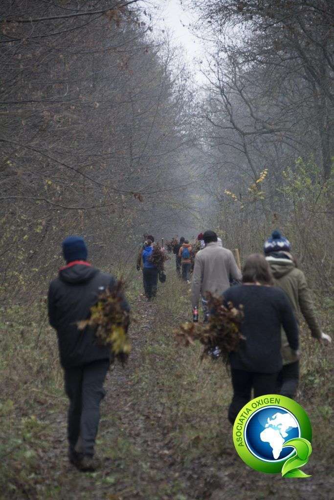 Plantează-ți Oxigenul – 2018