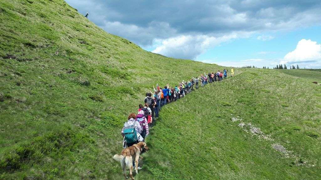 The nature is calling! Avantajele de a fi ghid in timpul liber